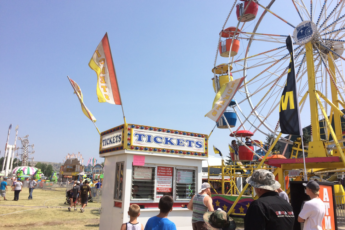 County Fair