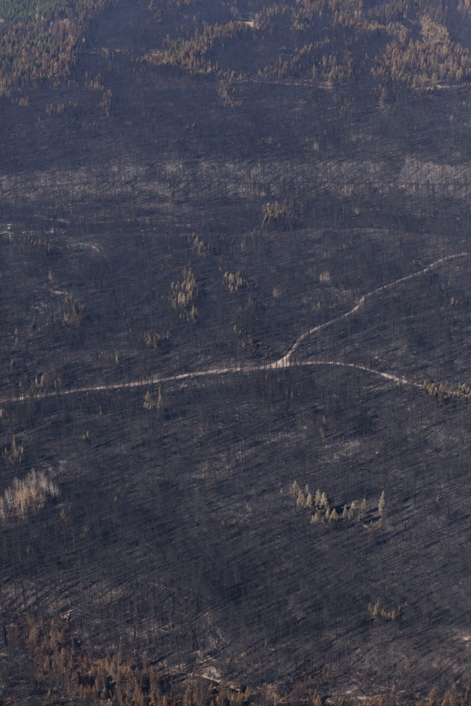 Seeley Lake Rice Ridge fire wildfire burn 2017 Montana