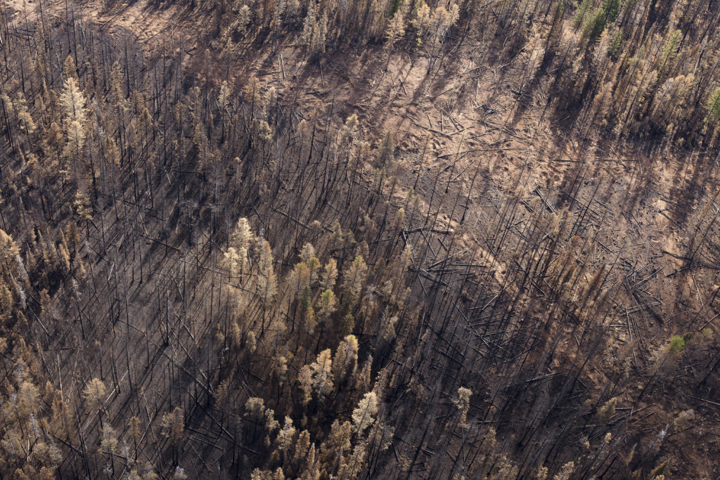 Seeley Lake Rice Ridge fire wildfire burn 2017 Montana