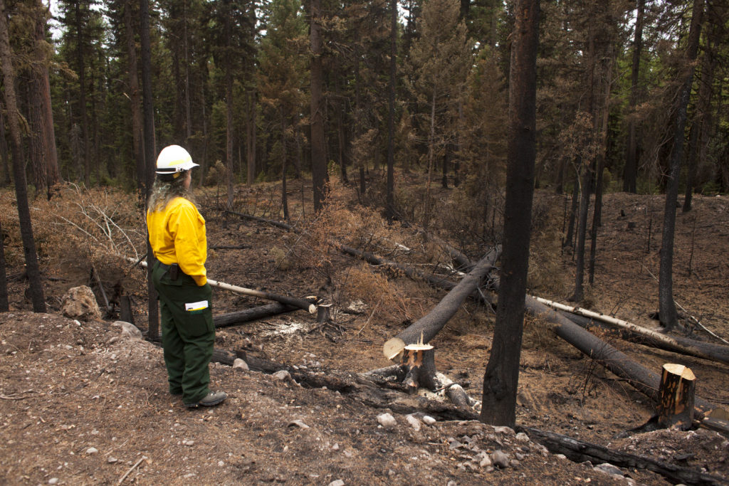 Seeley Lake Rice Ridge fire wildfire burn 2017 Forest Service
