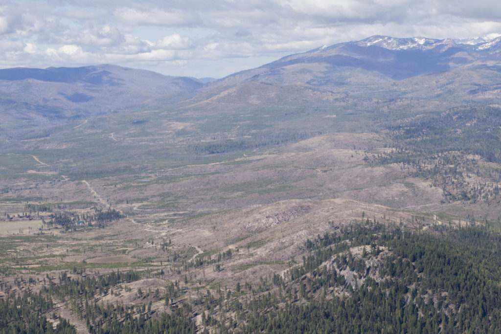 Seeley Lake Rice Ridge fire wildfire burn 2017 Montana Jocko Fire 2007