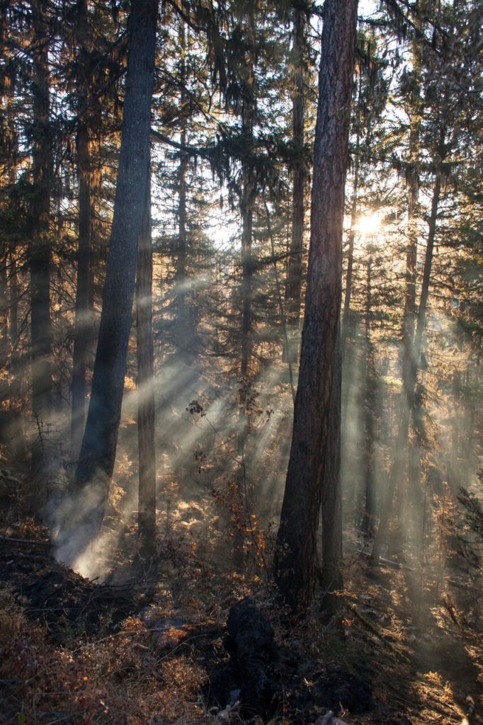 Seeley Lake Rice Ridge fire wildfire burn 2017 Montana