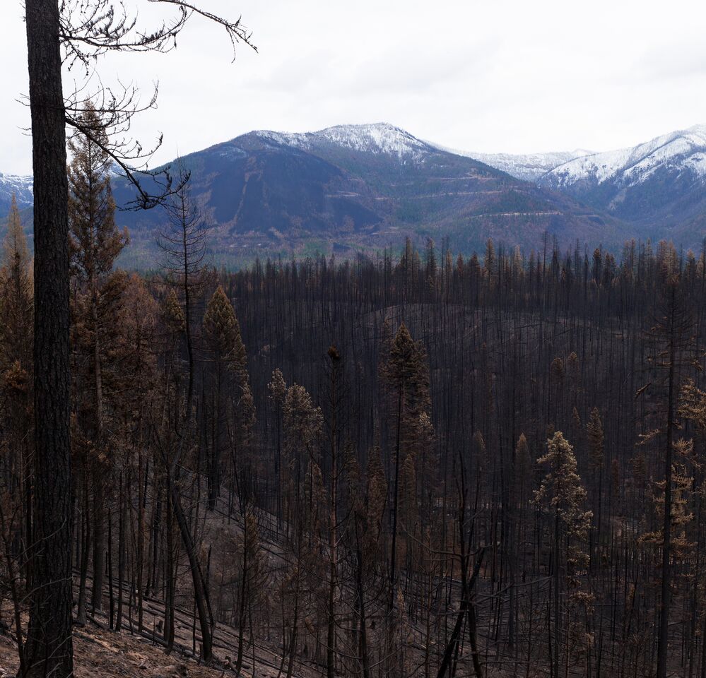 Seeley Lake Rice Ridge fire wildfire burn 2017 Montana