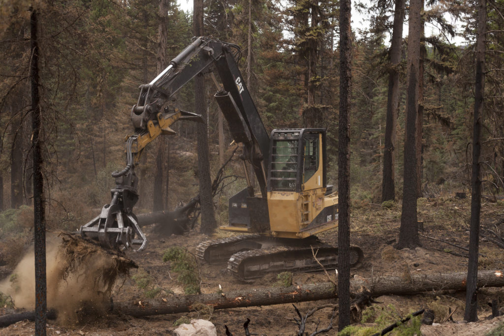 Seeley Lake Rice Ridge fire wildfire burn 2017 Forest service reclamation
