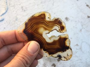 Montana Moss Agate