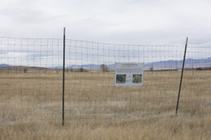 Ruby Valley Montana conservation stewardship cattle ranching habitat Woodson Ranch