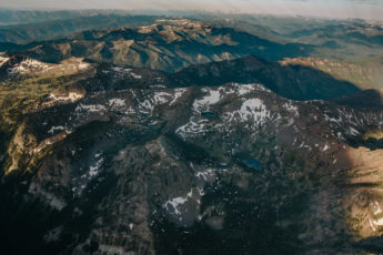 Gallatin Forest by Louise Johns