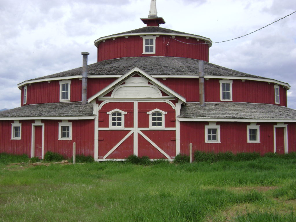 horse barn, race horse, Montana, Kentucky Derby, Bolt D'oro, Ruby Valley