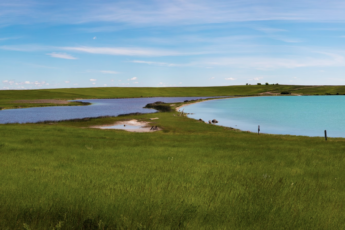 Brush Lake State Park