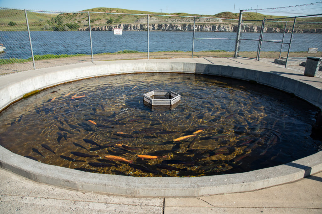 Giant Springs State Park, Montana, Family, Fishing, Great Falls, Cascade County, Recreation. FWP