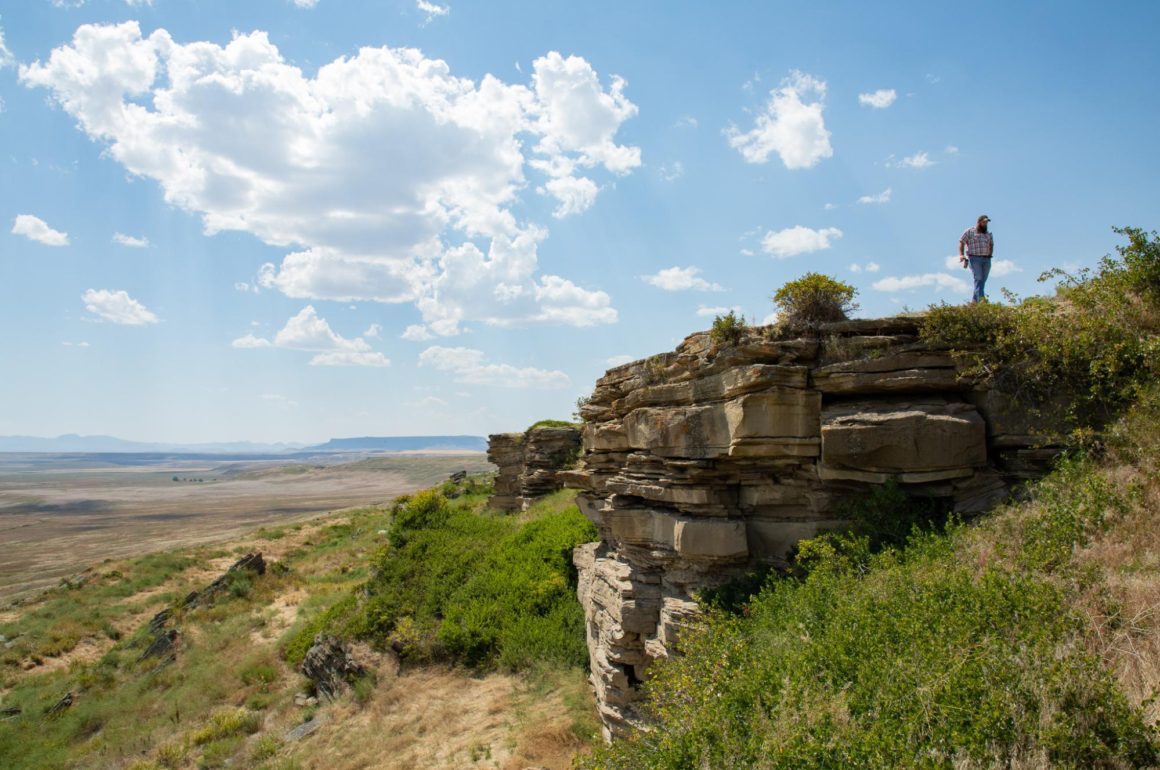 First Peoples Buffalo Jump