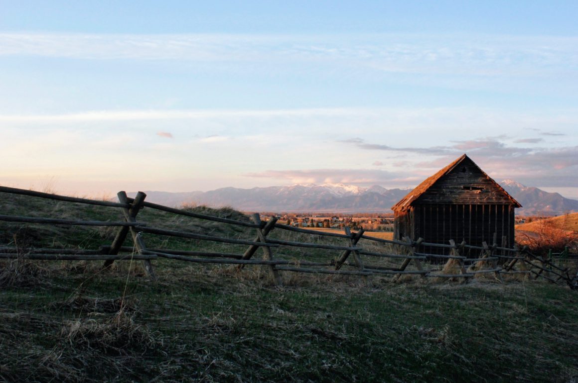 ranching, cattle ranching, farming, farm bill, government shutdown, Farm Service Agency, wheat farming, tariffs